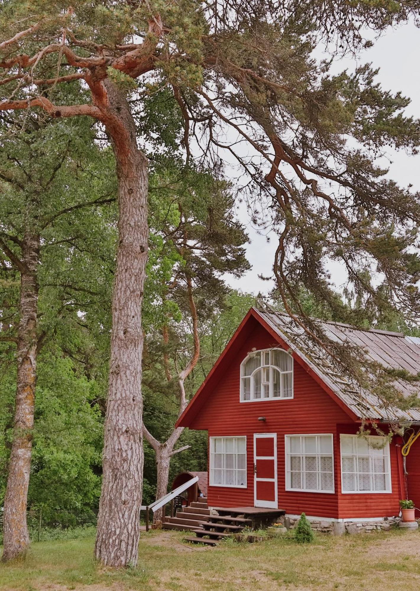 Toolse Puhkekuela Hotel Exterior photo